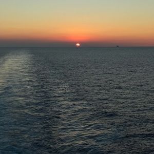 Meet your Posher, Carter